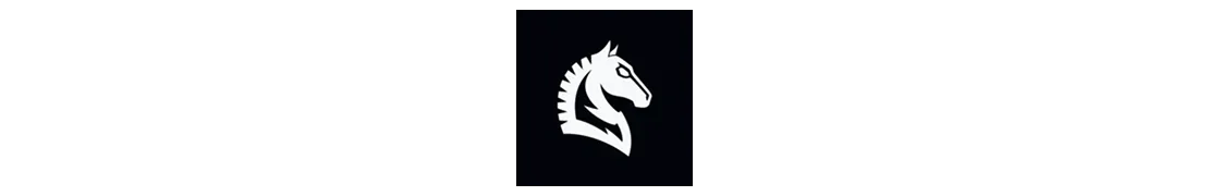 Ponyin company logo